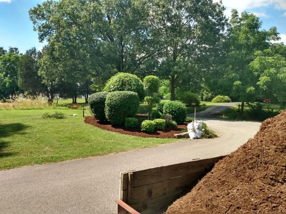 Custom lawn care service experts serving Paducah, KY - We Mow