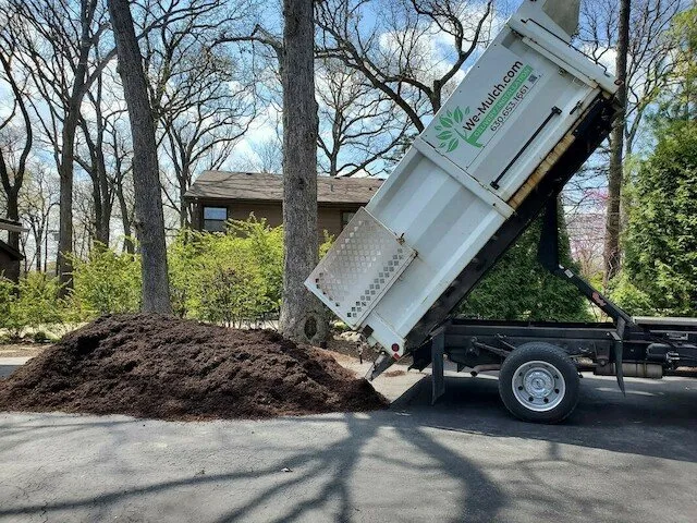 Affordable yard cleanup service in Wheaton, IL - We Mulch
