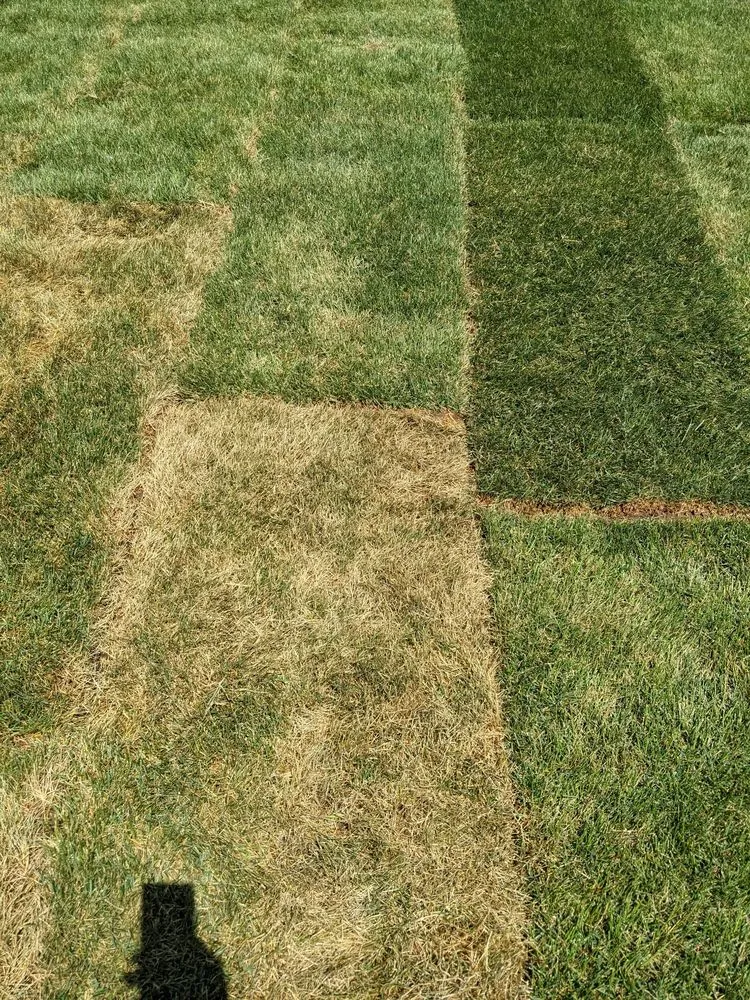 Professional garden landscaping for homes across Aurora, IL - W.E. Mundy Landscaping