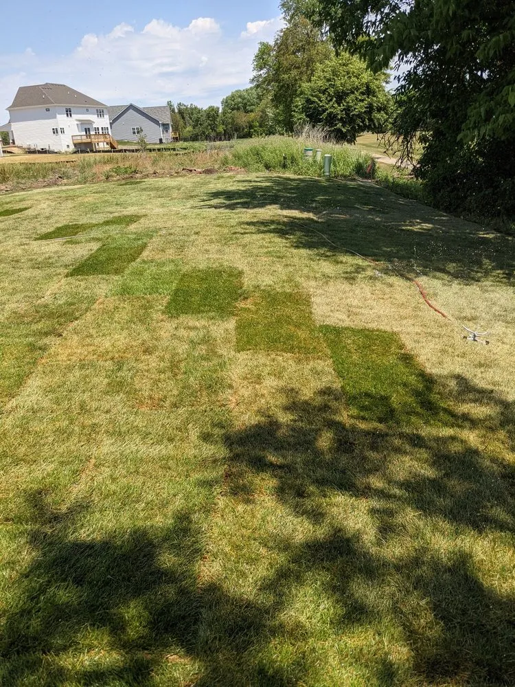 Professional yard maintenance in Aurora, IL by W.E. Mundy Landscaping