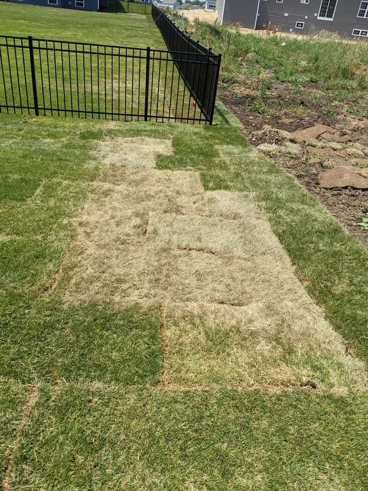 Affordable lawn care service in Aurora, IL - W.E. Mundy Landscaping