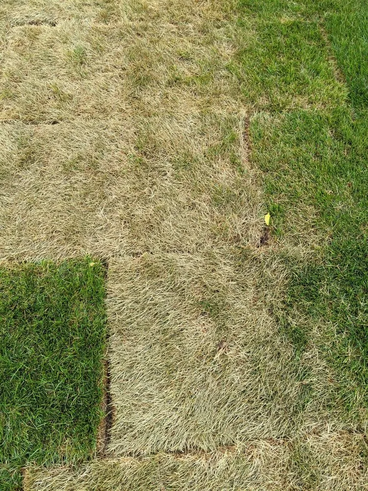 Top-rated residential landscaping in Aurora, IL - W.E. Mundy Landscaping