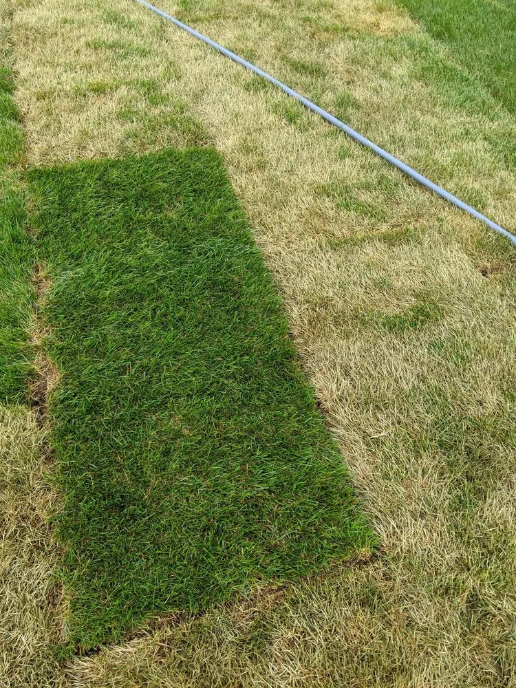 Top-rated outdoor landscaping for homes in Aurora, IL by W.E. Mundy Landscaping