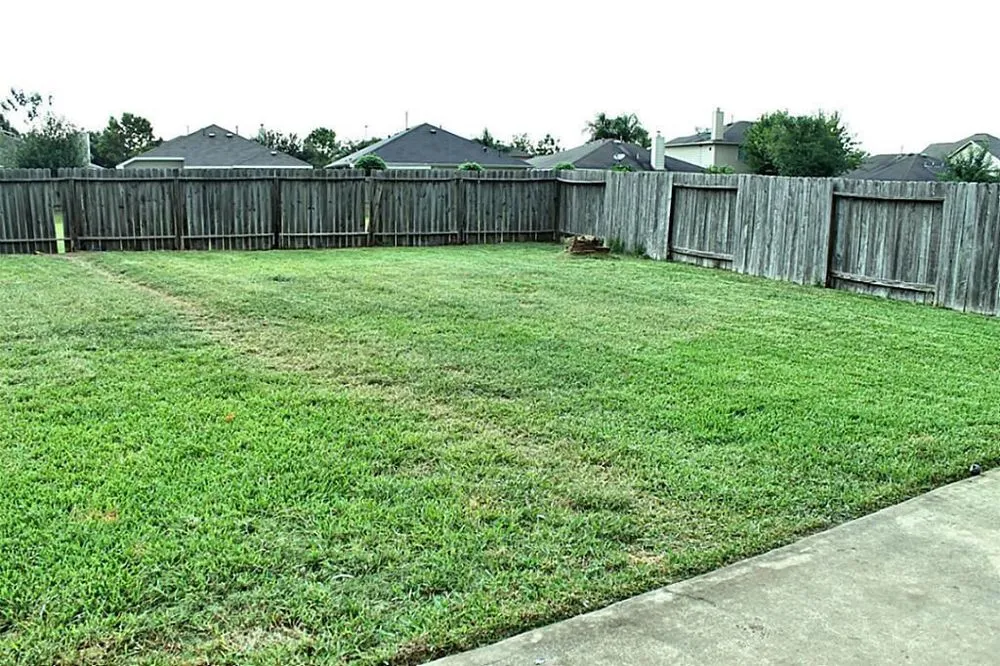 Professional yard cleanup service experts serving Houston, TX - We Only Cut Grass