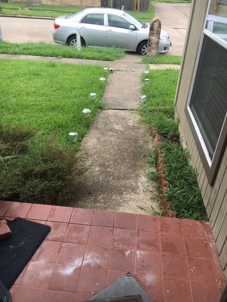 Local yard cleanup service in Houston, TX - We Only Cut Grass