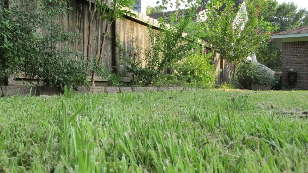 Top-rated landscape design with custom design across Houston, TX - We Only Cut Grass