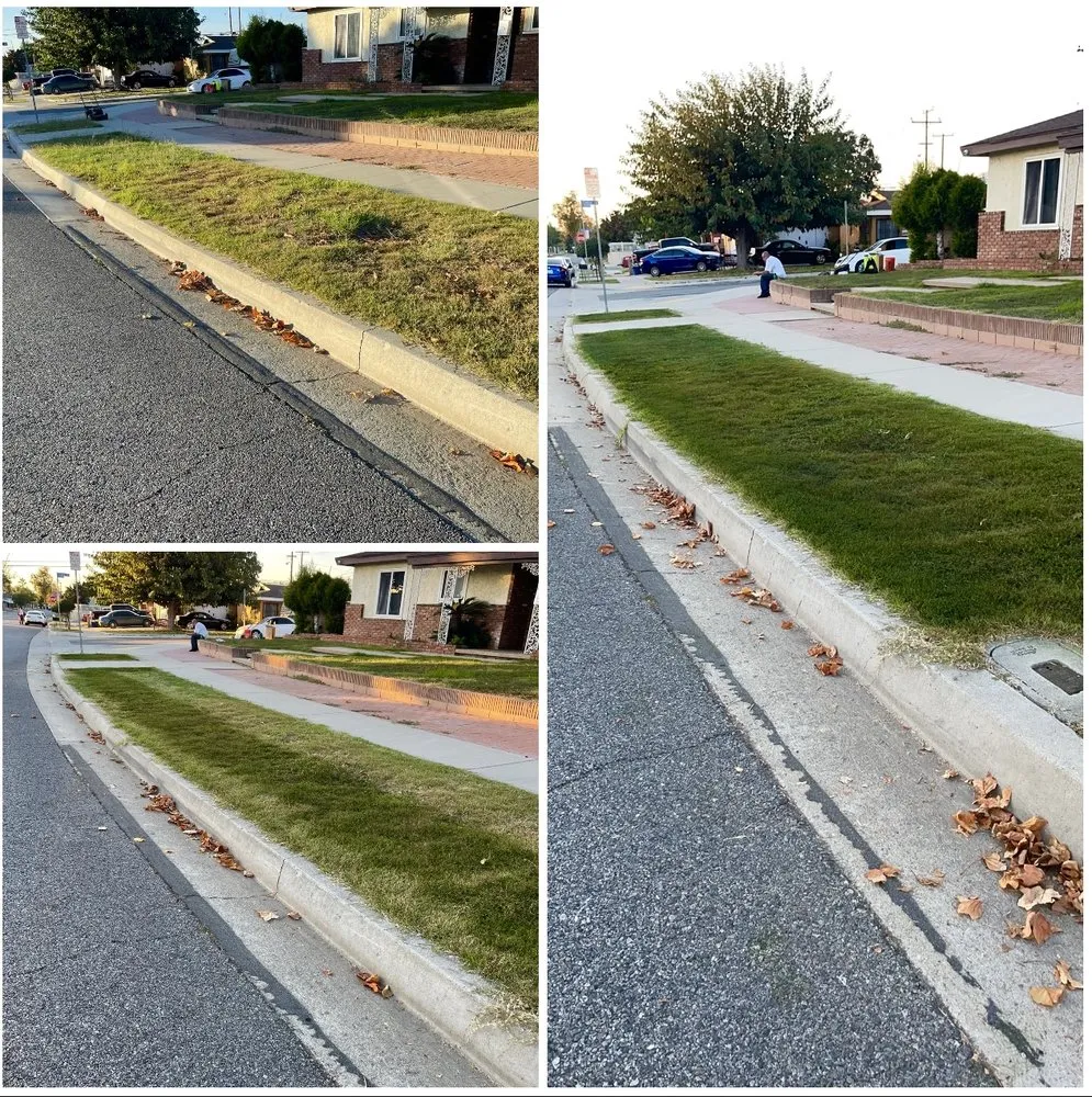 Expert yard maintenance in West Covina, CA - We Paint Grass