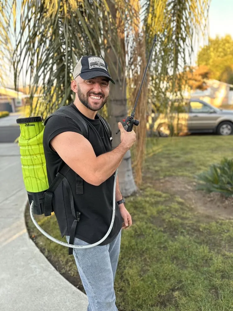 Custom landscape design for year-round maintenance in West Covina, CA by We Paint Grass