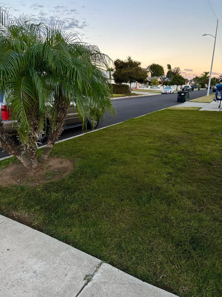 Top-rated landscape design in West Covina, CA - We Paint Grass