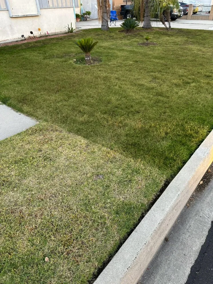 Expert landscape design in West Covina, CA by We Paint Grass