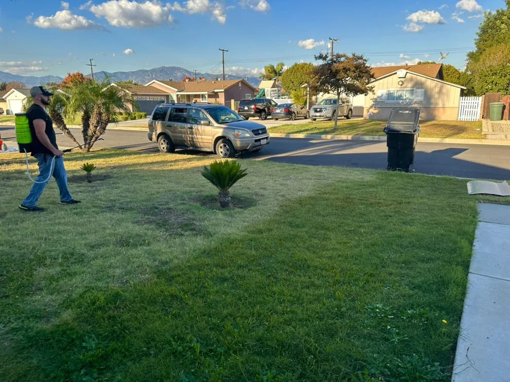 Affordable lawn care service with custom design in West Covina, CA by We Paint Grass