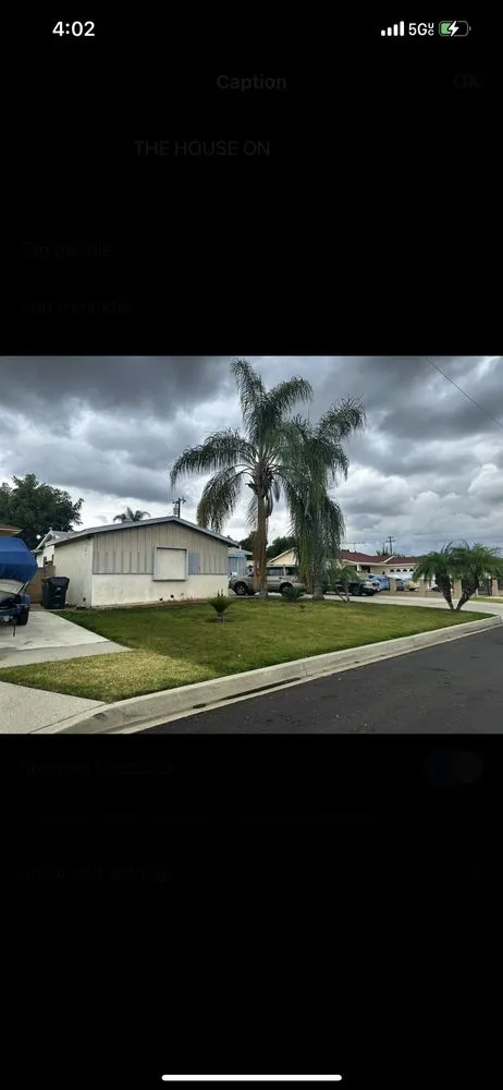 Local yard cleanup service in West Covina, CA - We Paint Grass