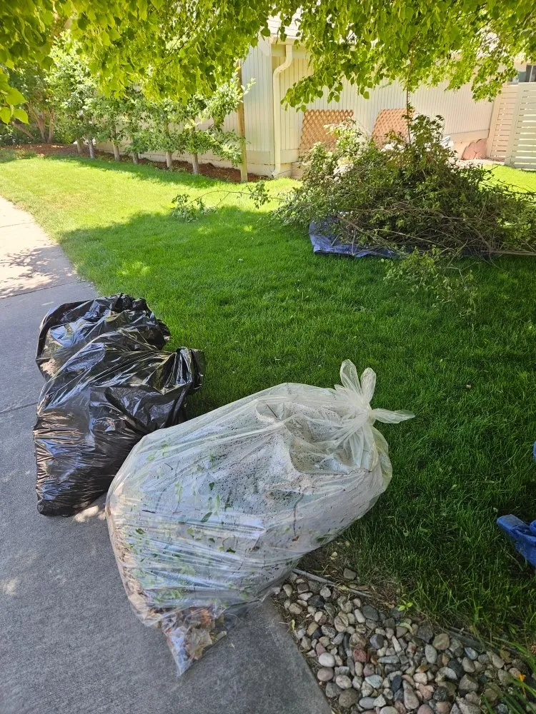 Local yard maintenance in Loveland, CO by We R Trash