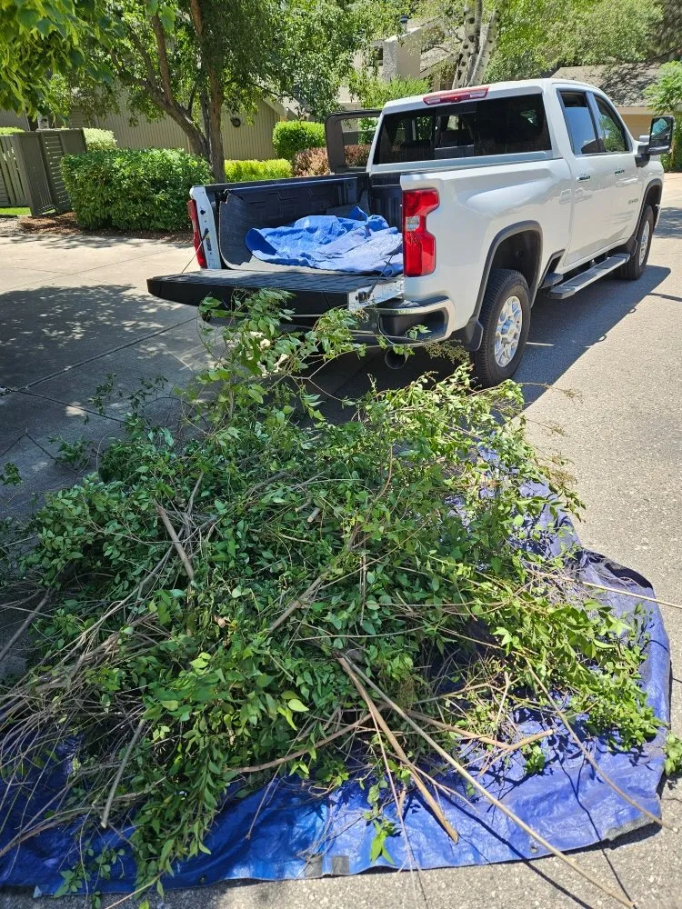 Expert garden landscaping for outdoor upgrades in Loveland, CO by We R Trash