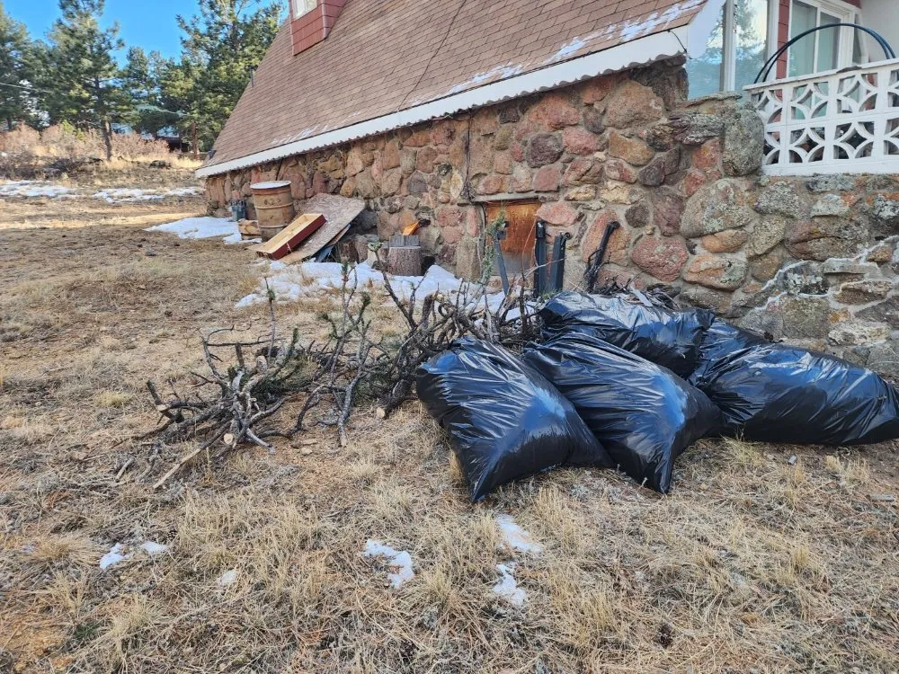 Expert yard cleanup service experts serving Loveland, CO - We R Trash