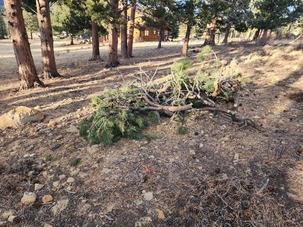 Local landscape installation in Loveland, CO by We R Trash