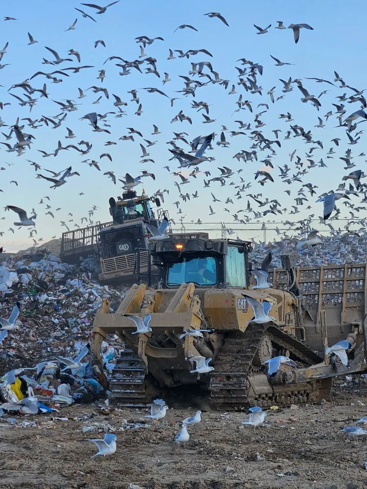 Custom landscape design in Loveland, CO by We R Trash