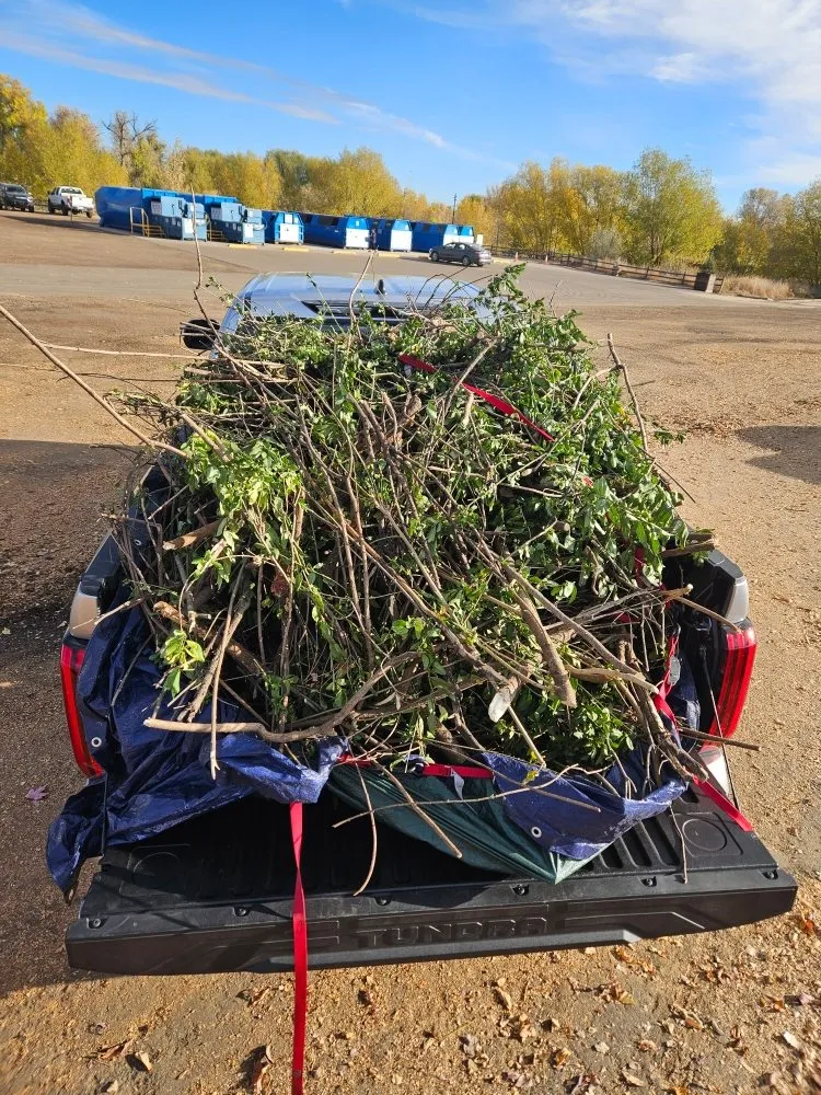 Top-rated garden landscaping in Loveland, CO - We R Trash