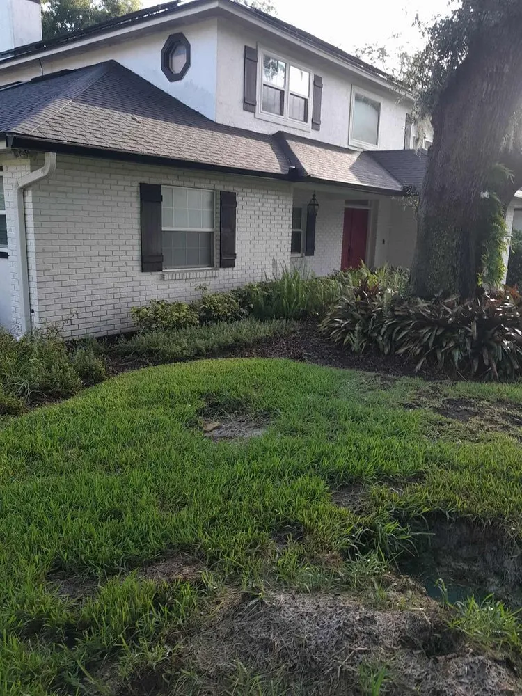 Custom yard maintenance in DeBary, FL - We Remove Your Junk