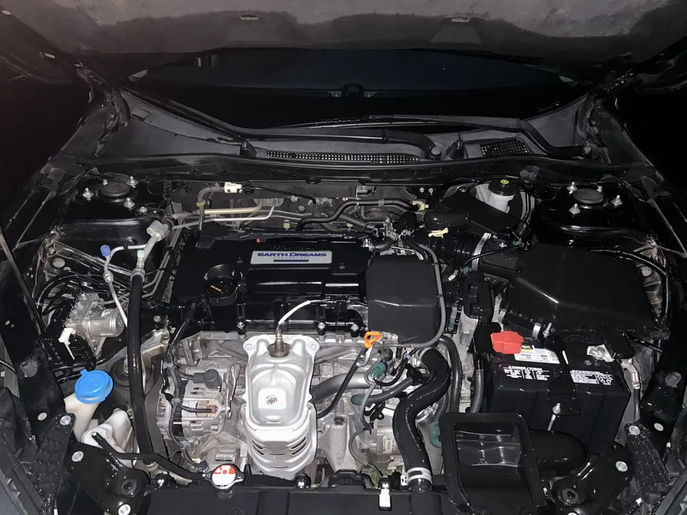 Affordable yard cleanup service near you across York, SC - We Shine Together