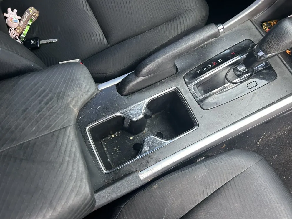 Top-rated landscape installation in York, SC - We Shine Together