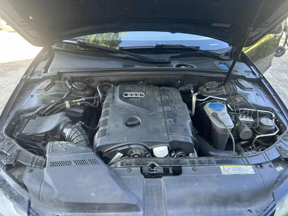 Top-rated yard maintenance in York, SC by We Shine Together