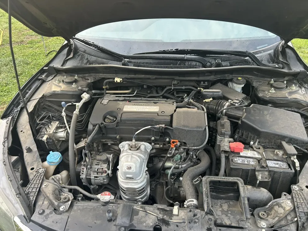 Reliable landscape design near you across York, SC - We Shine Together