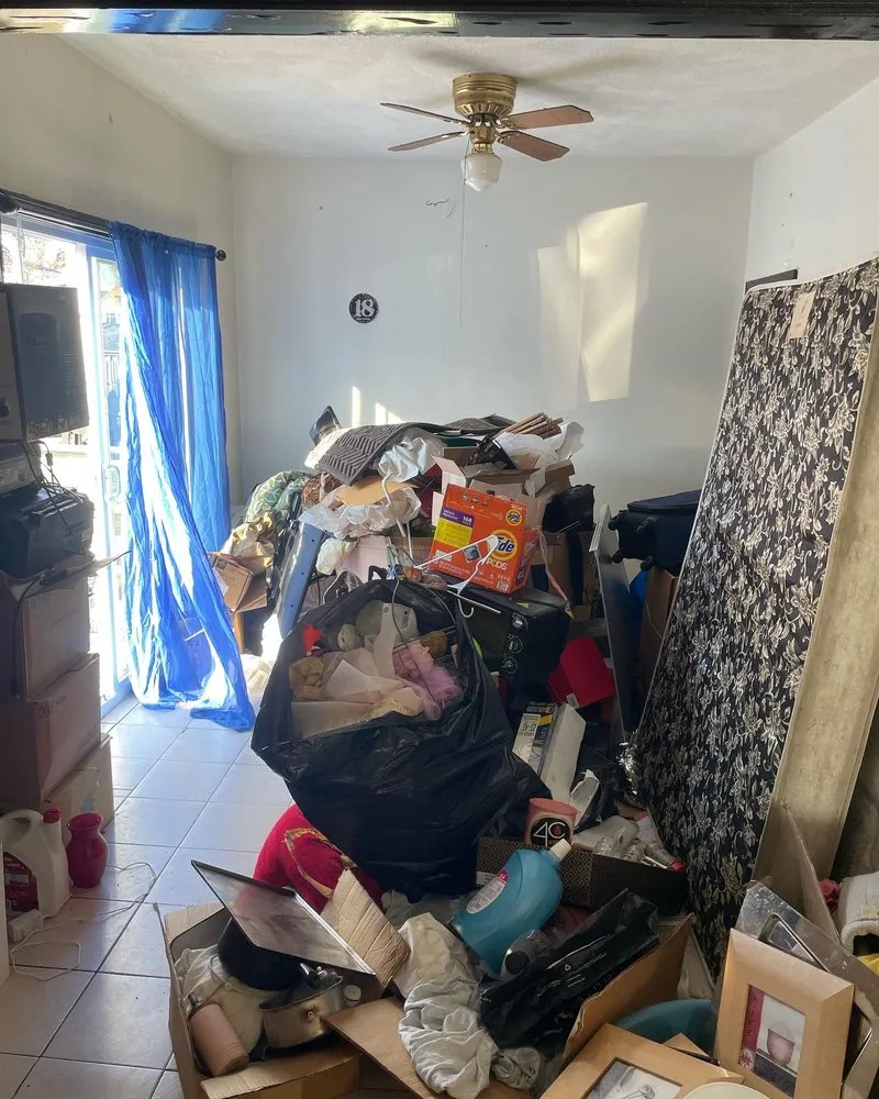 Trusted yard cleanup service experts serving Boston, MA - We Ship To You