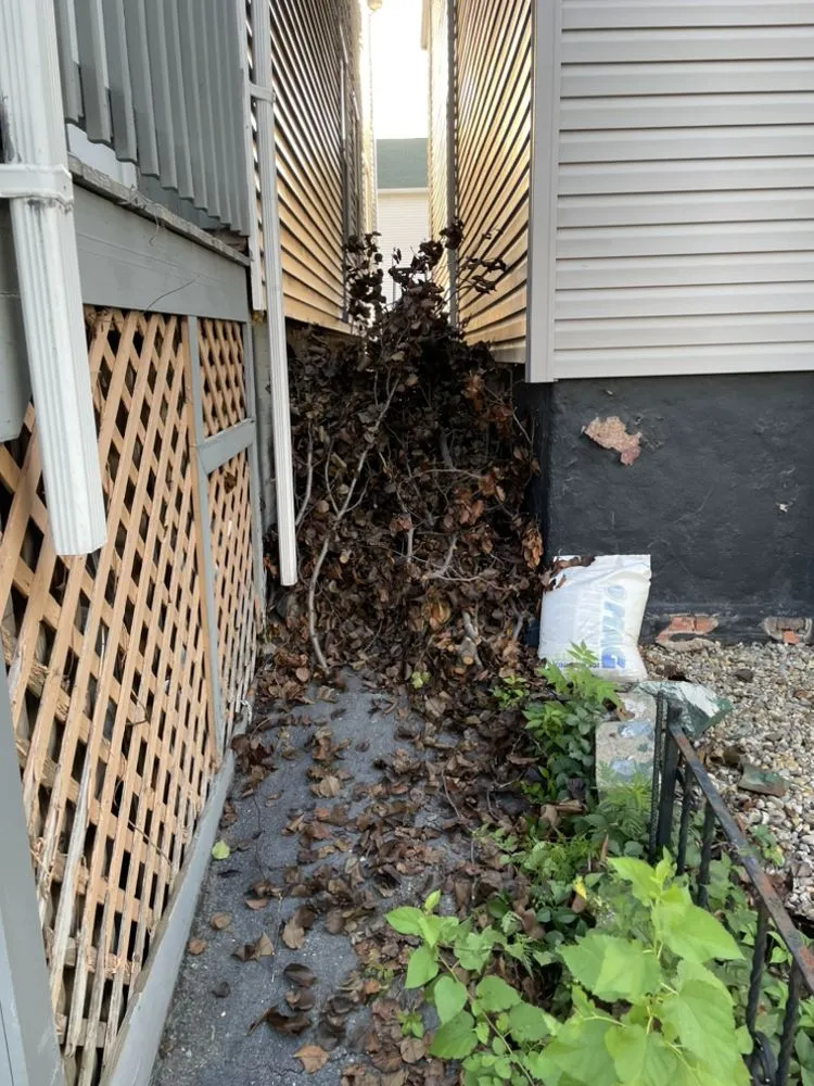 Local landscaping services for outdoor upgrades in Boston, MA by We Ship To You