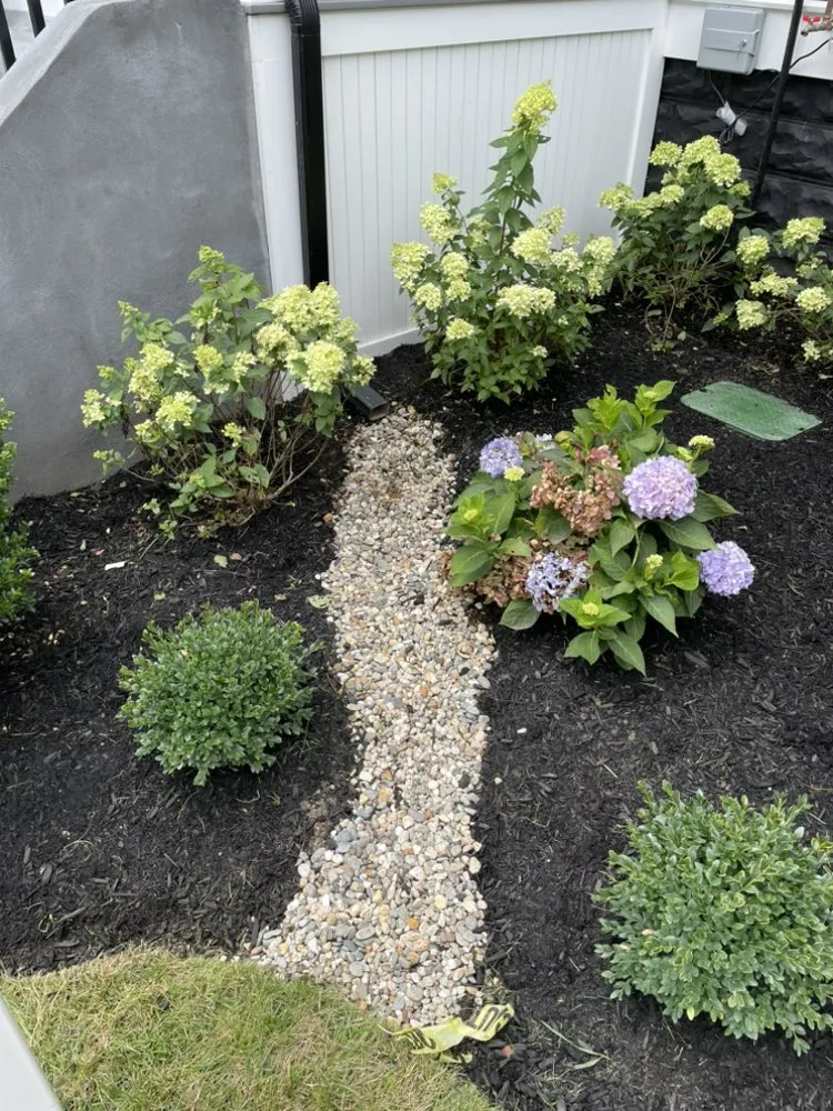 Local yard cleanup service experts serving Boston, MA - We Ship To You