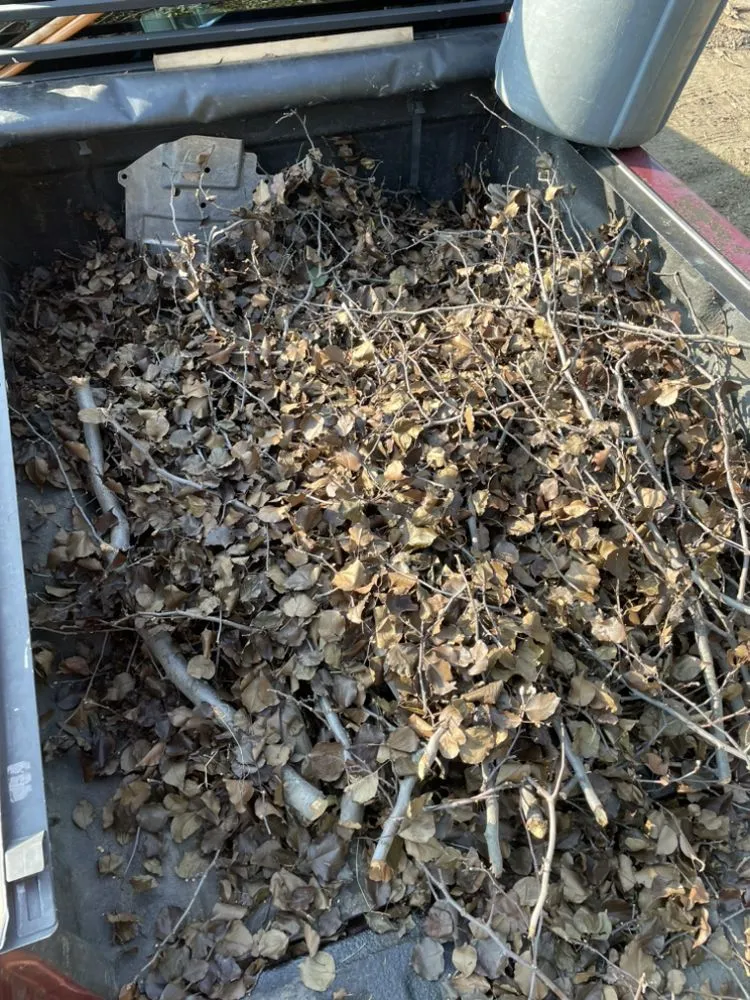 Top-rated residential landscaping in Boston, MA - We Ship To You