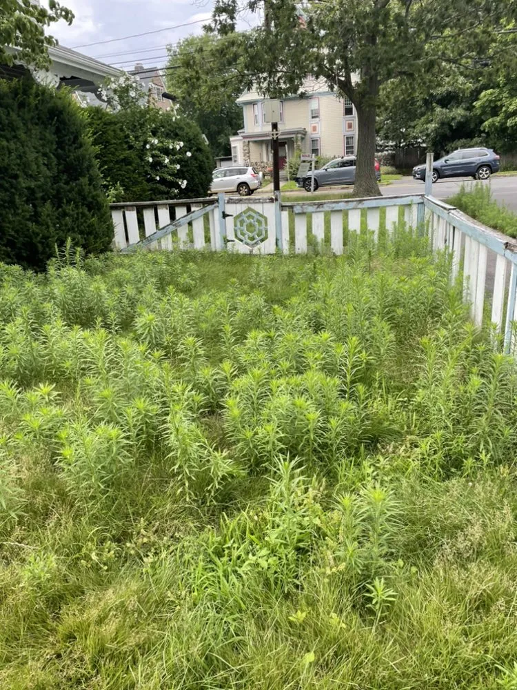 Affordable garden landscaping for year-round maintenance across Boston, MA - We Ship To You