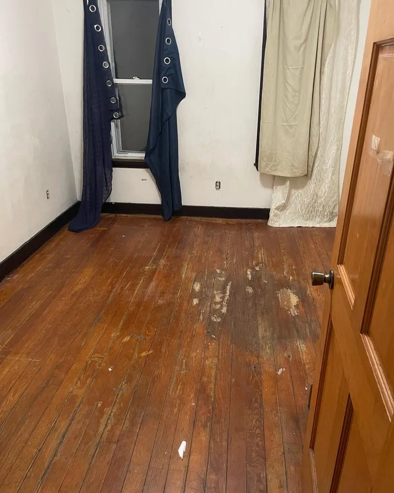 Expert yard cleanup service experts serving Boston, MA - We Ship To You