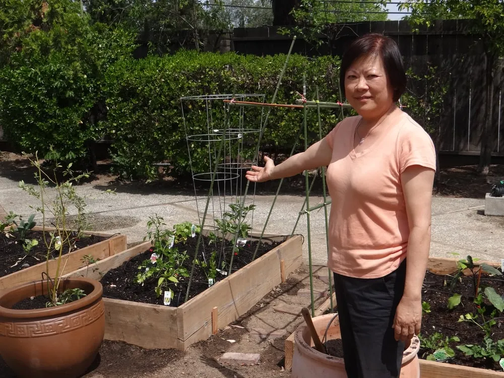 Local garden landscaping for year-round maintenance across Milpitas, CA - We Start Gardens