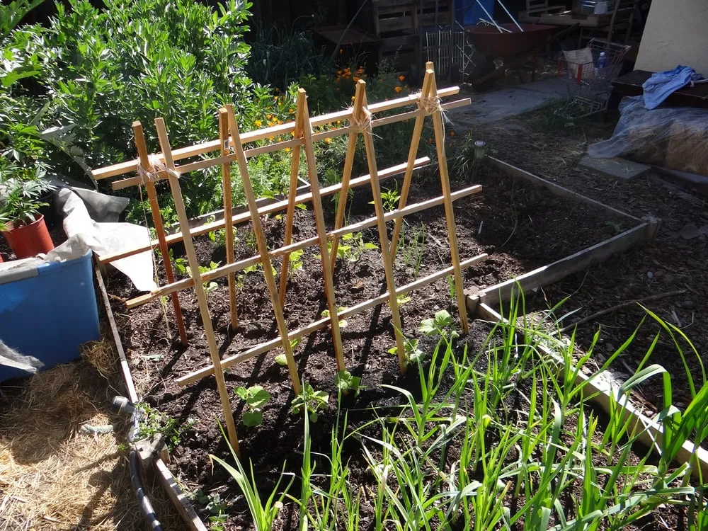 Local residential landscaping for homes in Milpitas, CA by We Start Gardens