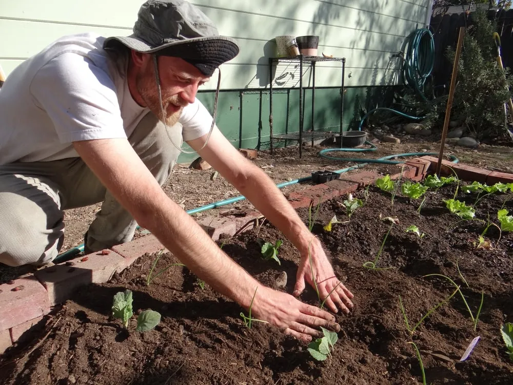 Affordable residential landscaping experts serving Milpitas, CA - We Start Gardens