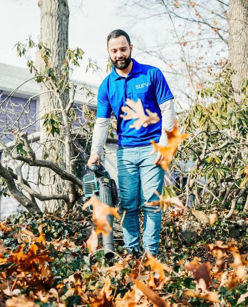 Custom lawn care service for outdoor upgrades across Charleston, SC - We Surv