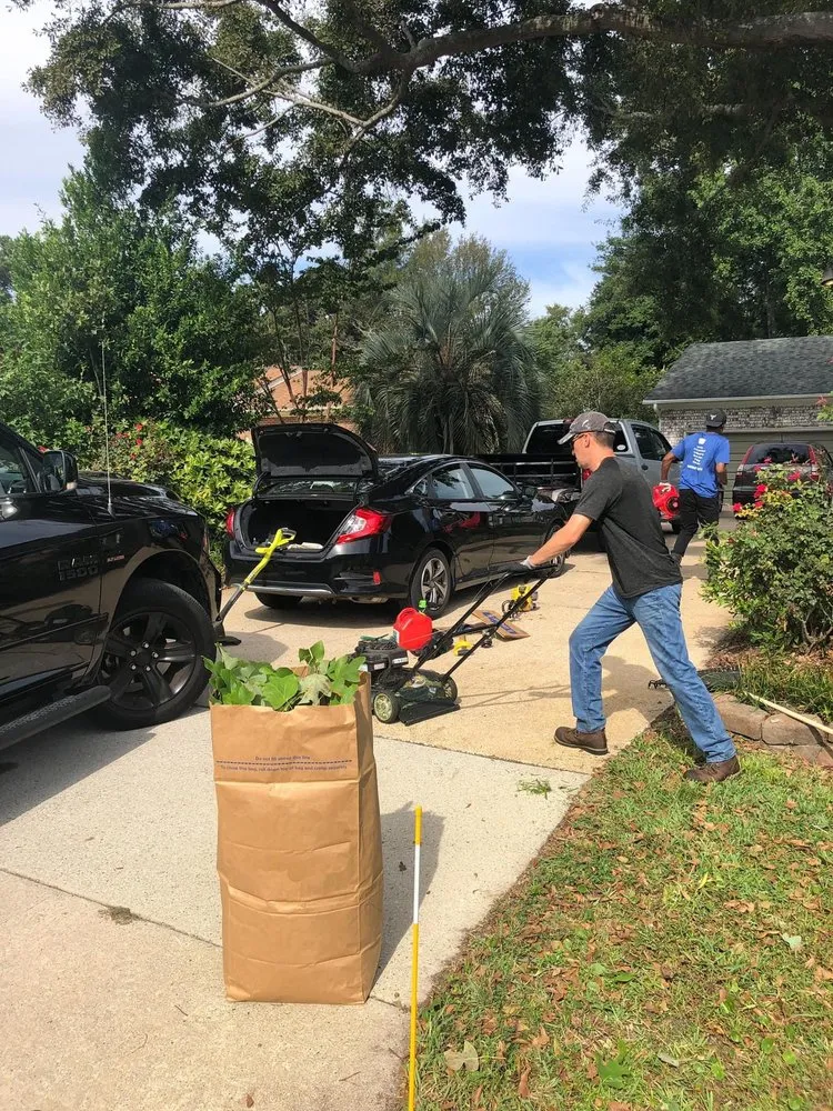 Top-rated landscape installation in Charleston, SC by We Surv