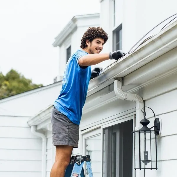 Reliable landscape installation for year-round maintenance in Charleston, SC by We Surv