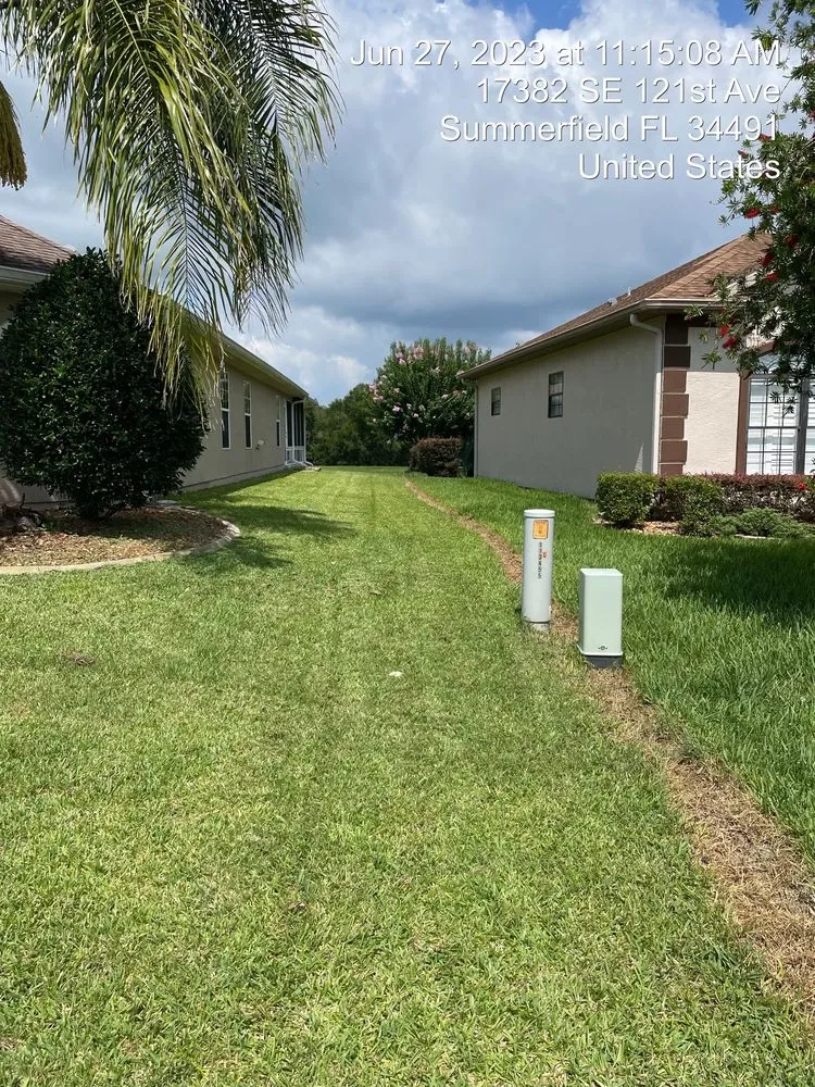 Local lawn mowing service in Tyler, TX by We the People Handyman and More