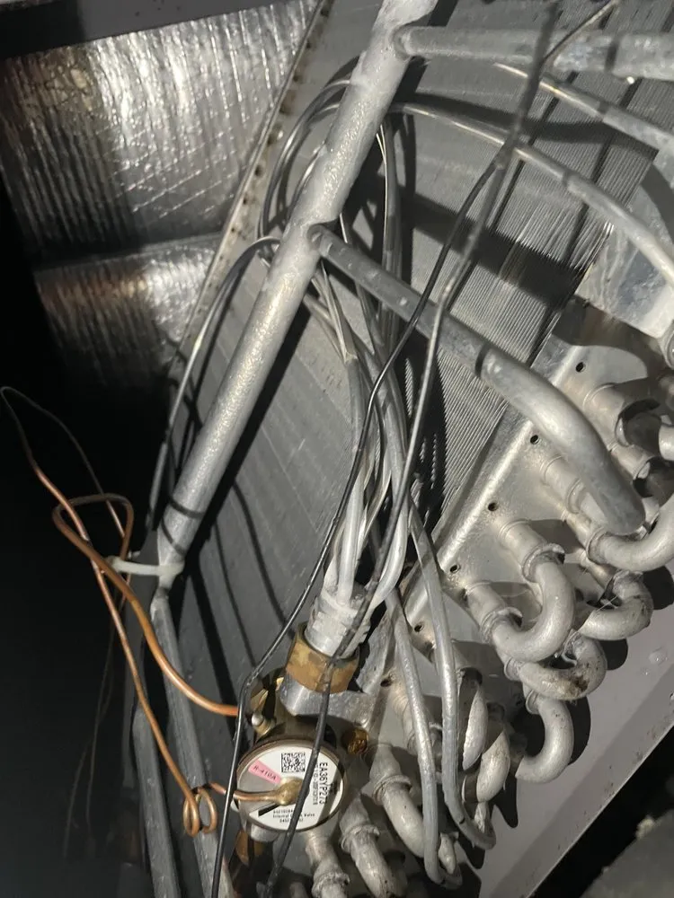 Trusted landscaping services for year-round maintenance in Tyler, TX by We the People Handyman and More