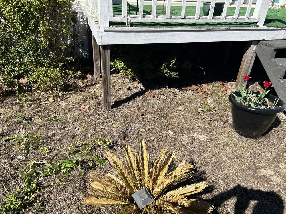 Trusted yard maintenance for residential properties across Tyler, TX - We the People Handyman and More