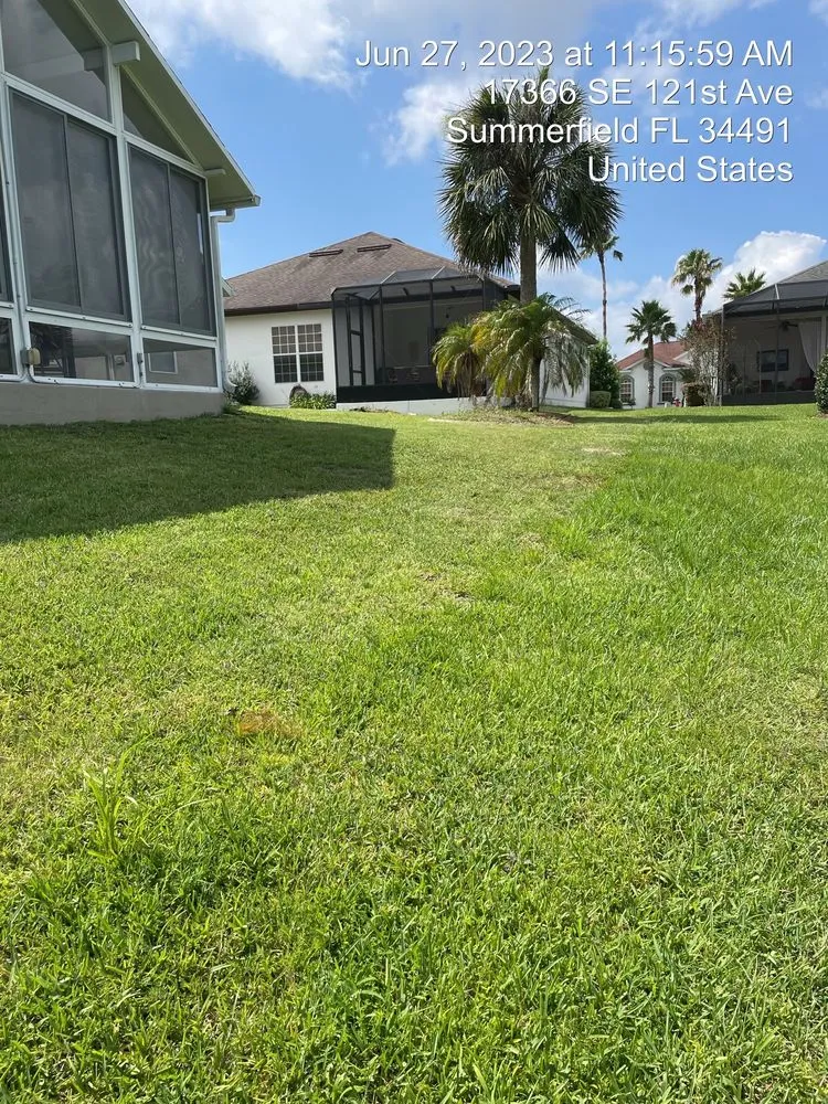 Top-rated residential landscaping with custom design across Tyler, TX - We the People Handyman and More