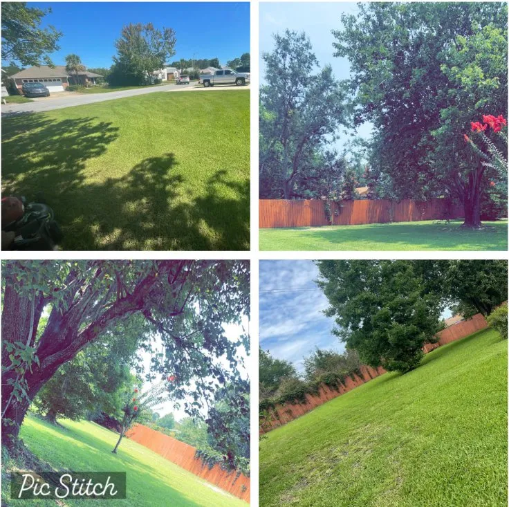 Custom yard cleanup service in Gulf Breeze, FL by We The People Lawncare