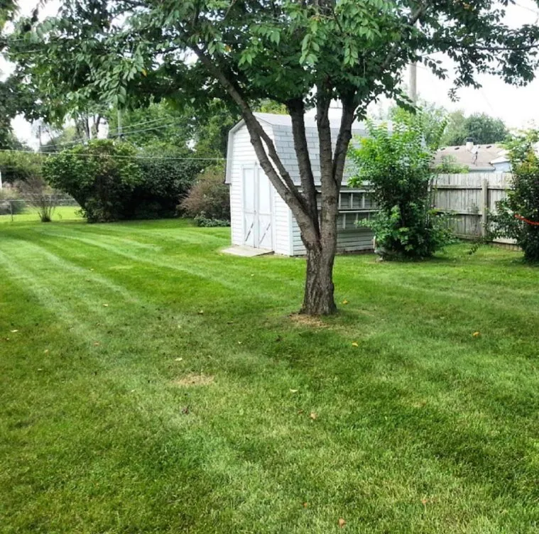 Reliable lawn mowing service for year-round maintenance in Gulf Breeze, FL by We The People Lawncare