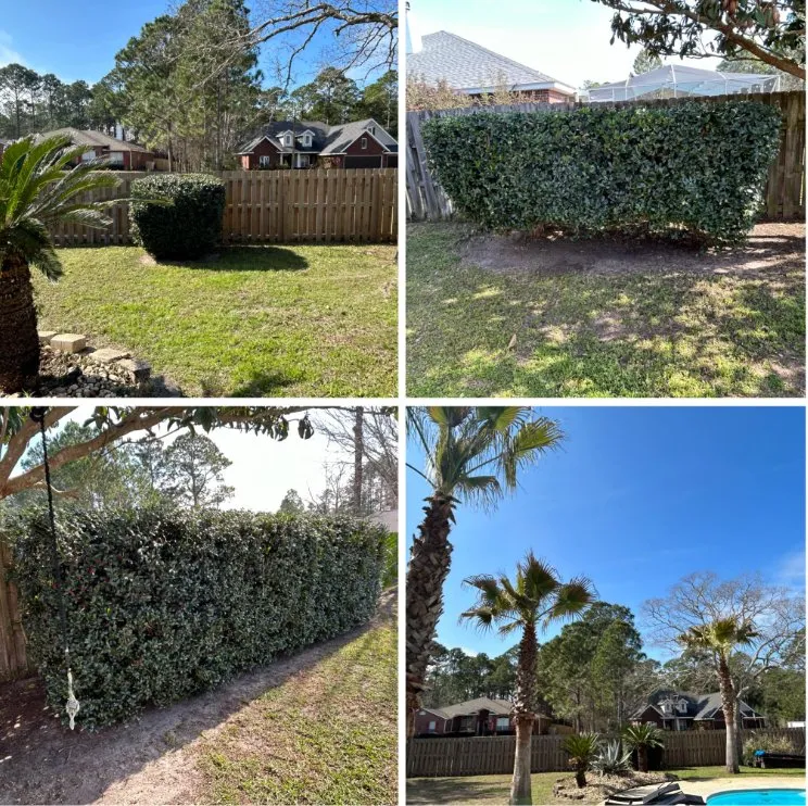 Professional residential landscaping in Gulf Breeze, FL - We The People Lawncare