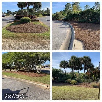 We The People Lawncare Logo