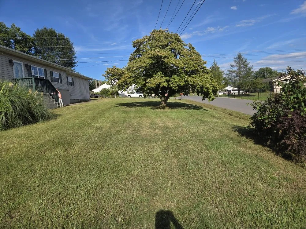 Reliable lawn care service for homes in Cosby, TN by We The People Property Solutions