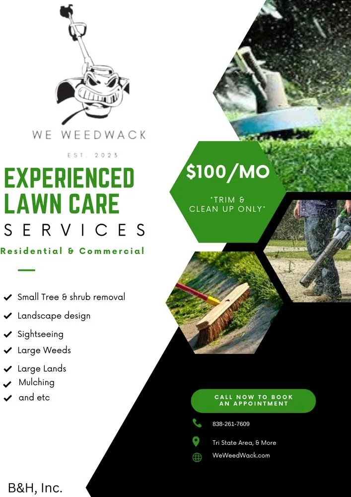 Trusted outdoor landscaping for year-round maintenance across Albany, NY - We Weedwack