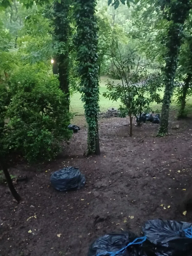 Professional lawn mowing service in Winston-Salem, NC - We Will Do It